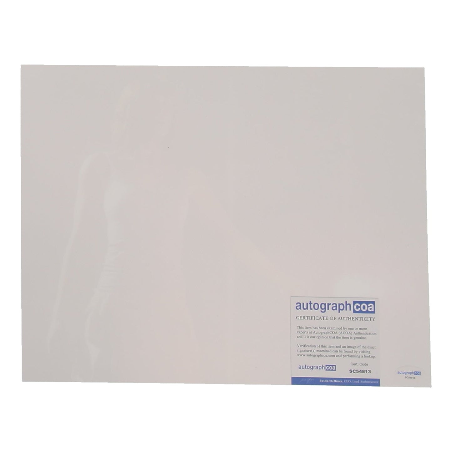 Bryce Dallas Howard Signed "Jurassic World" Jurassic World