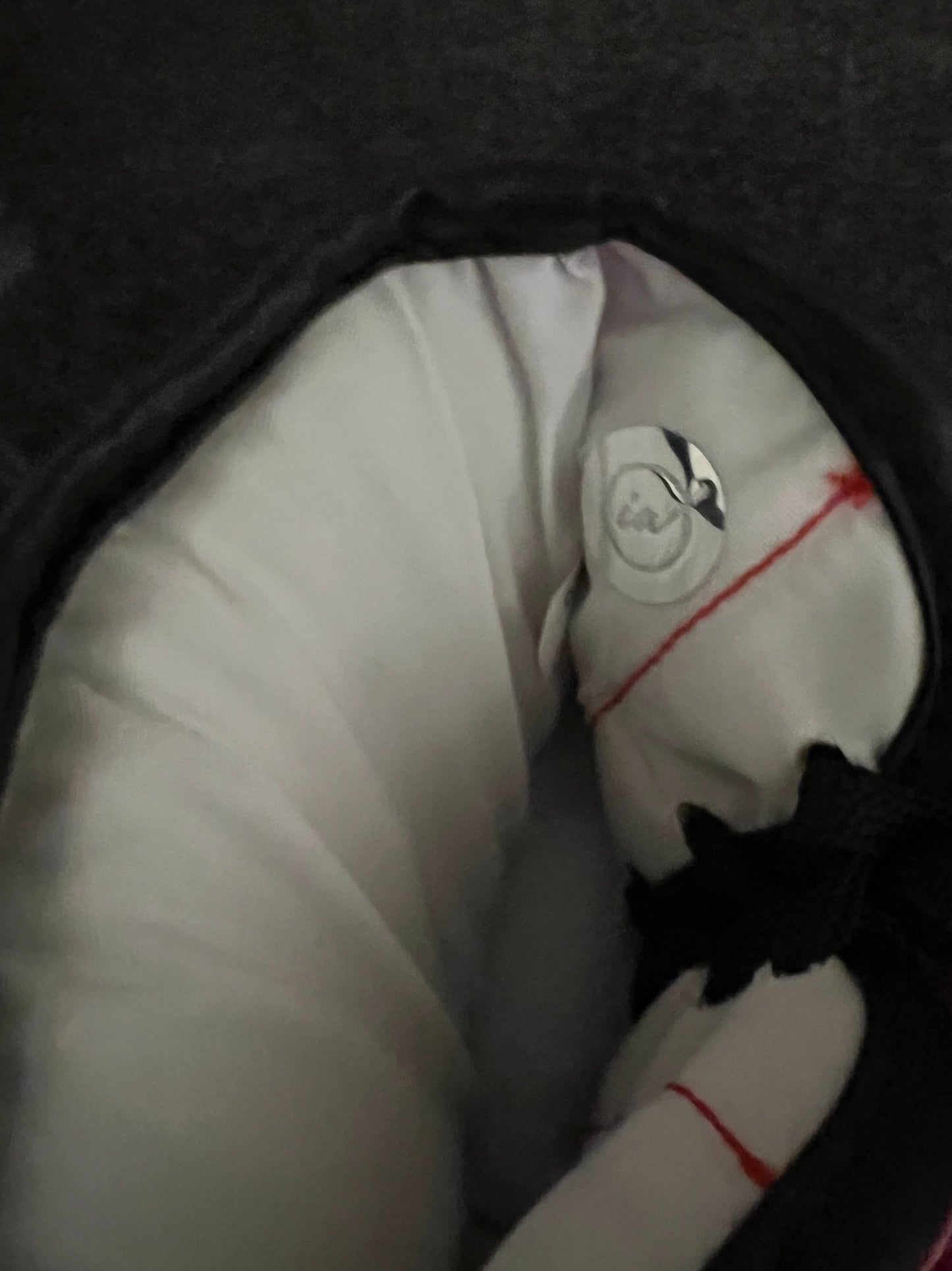 Mike Tyson Autographed Everlast Boxing Glove Mike Tyson