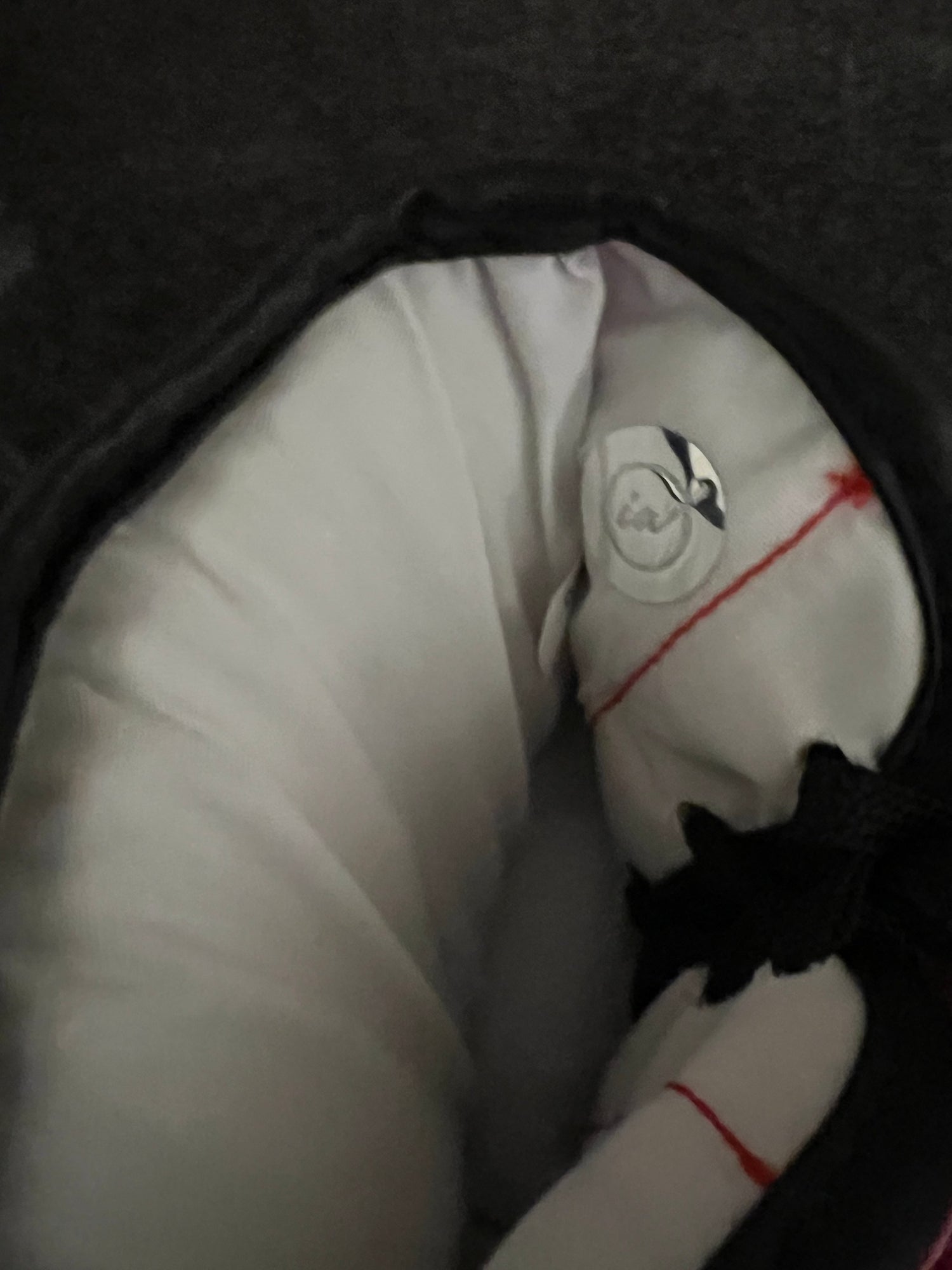 Mike Tyson Autographed Everlast Boxing Glove Mike Tyson